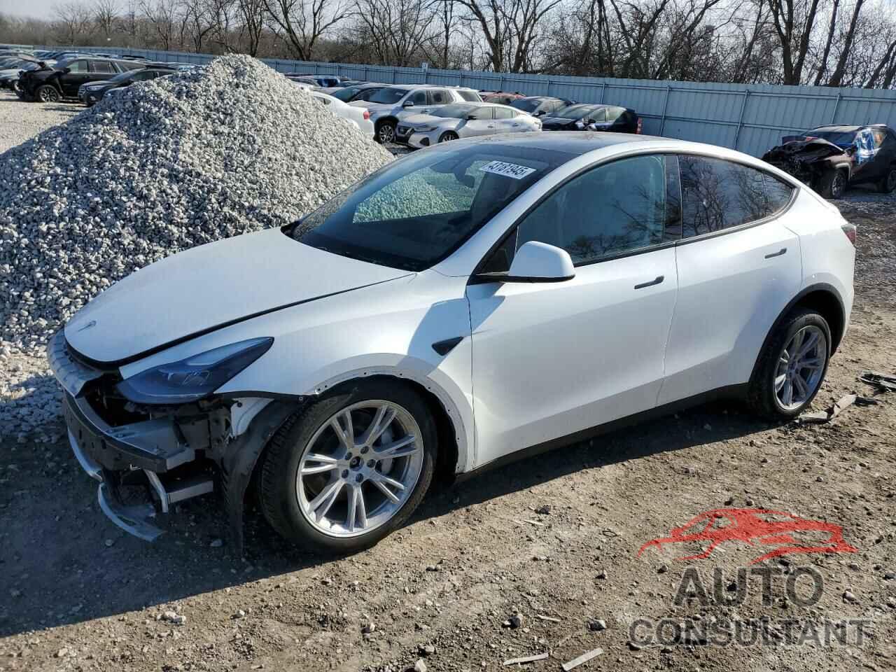 TESLA MODEL Y 2024 - 7SAYGDEE3RA289934