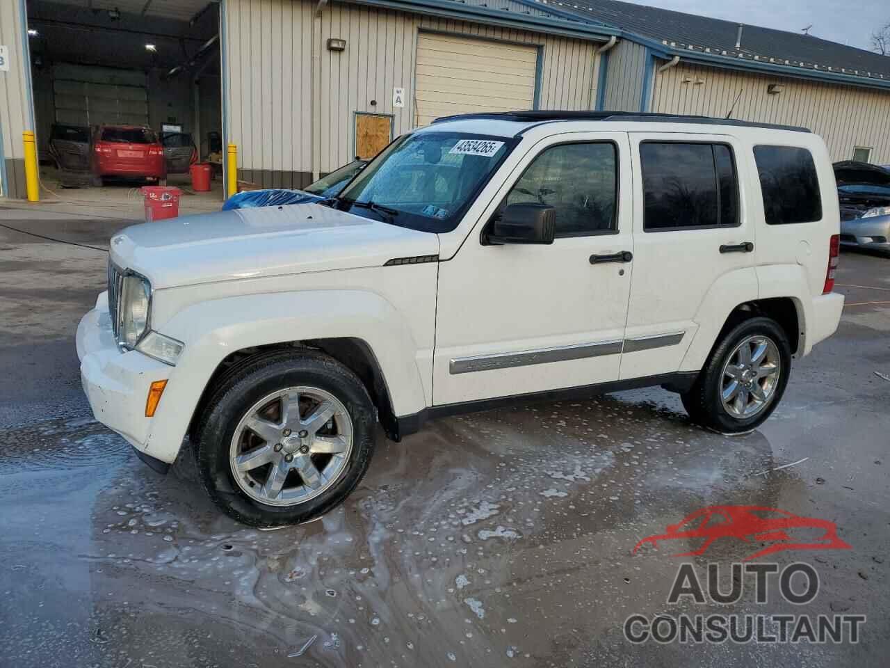 JEEP LIBERTY 2011 - 1J4PN5GK1BW525308