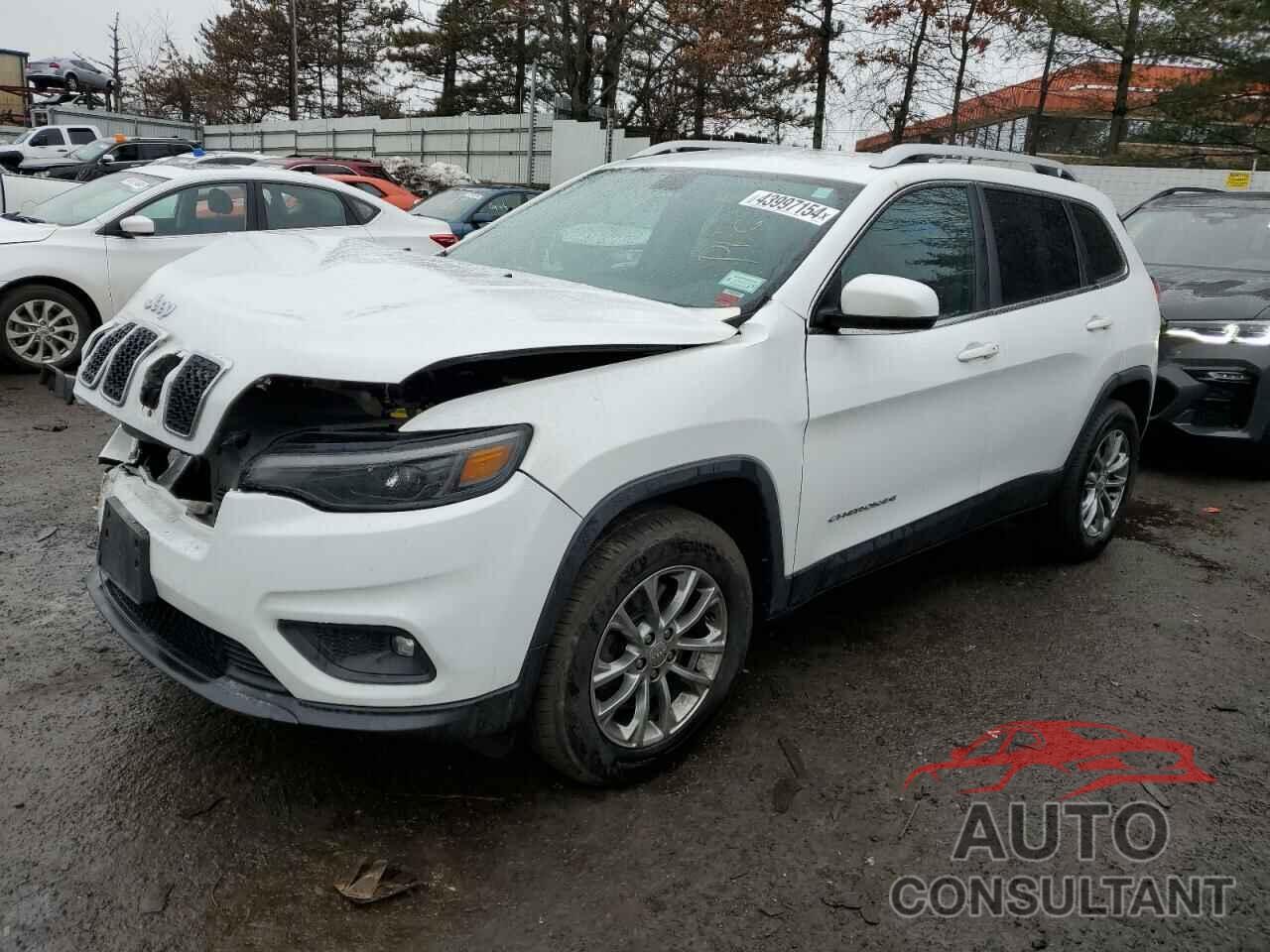 JEEP GRAND CHER 2019 - 1C4PJMLB9KD430900