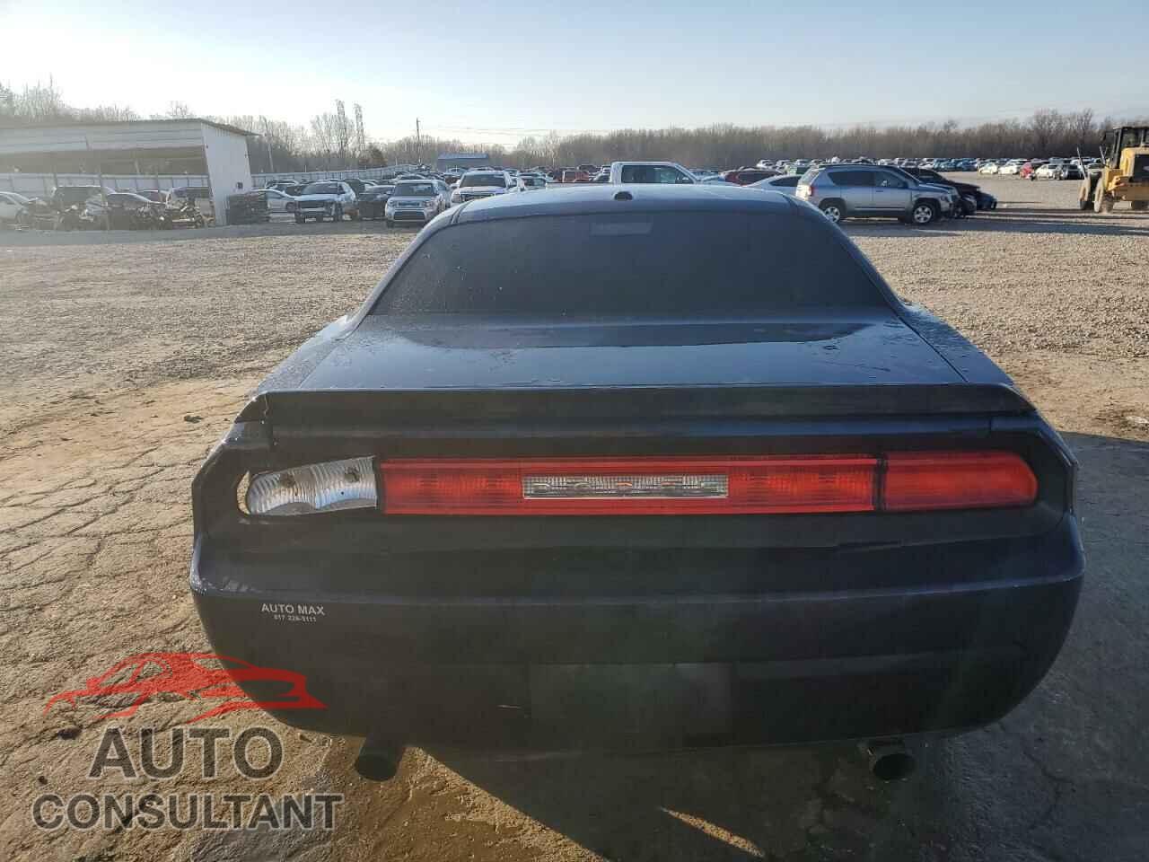 DODGE CHALLENGER 2013 - 2C3CDYAG3DH670918