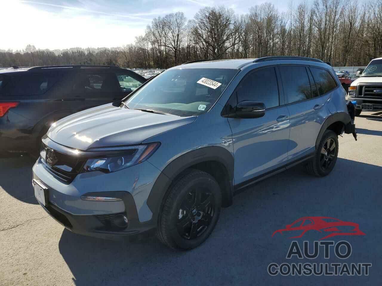 HONDA PILOT 2022 - 5FNYF6H80NB103135