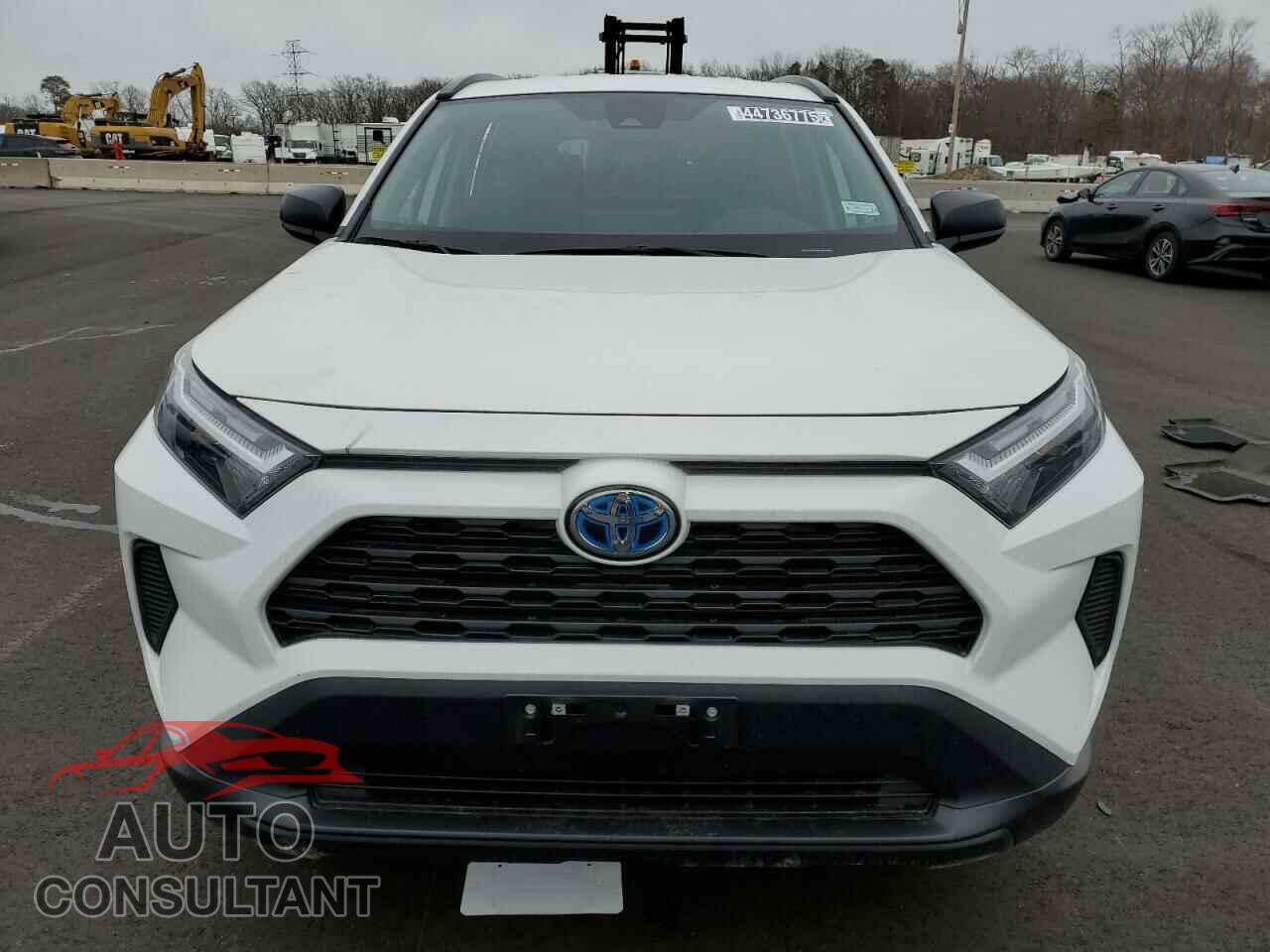 TOYOTA RAV4 2024 - 2T3LWRFVXRW210570