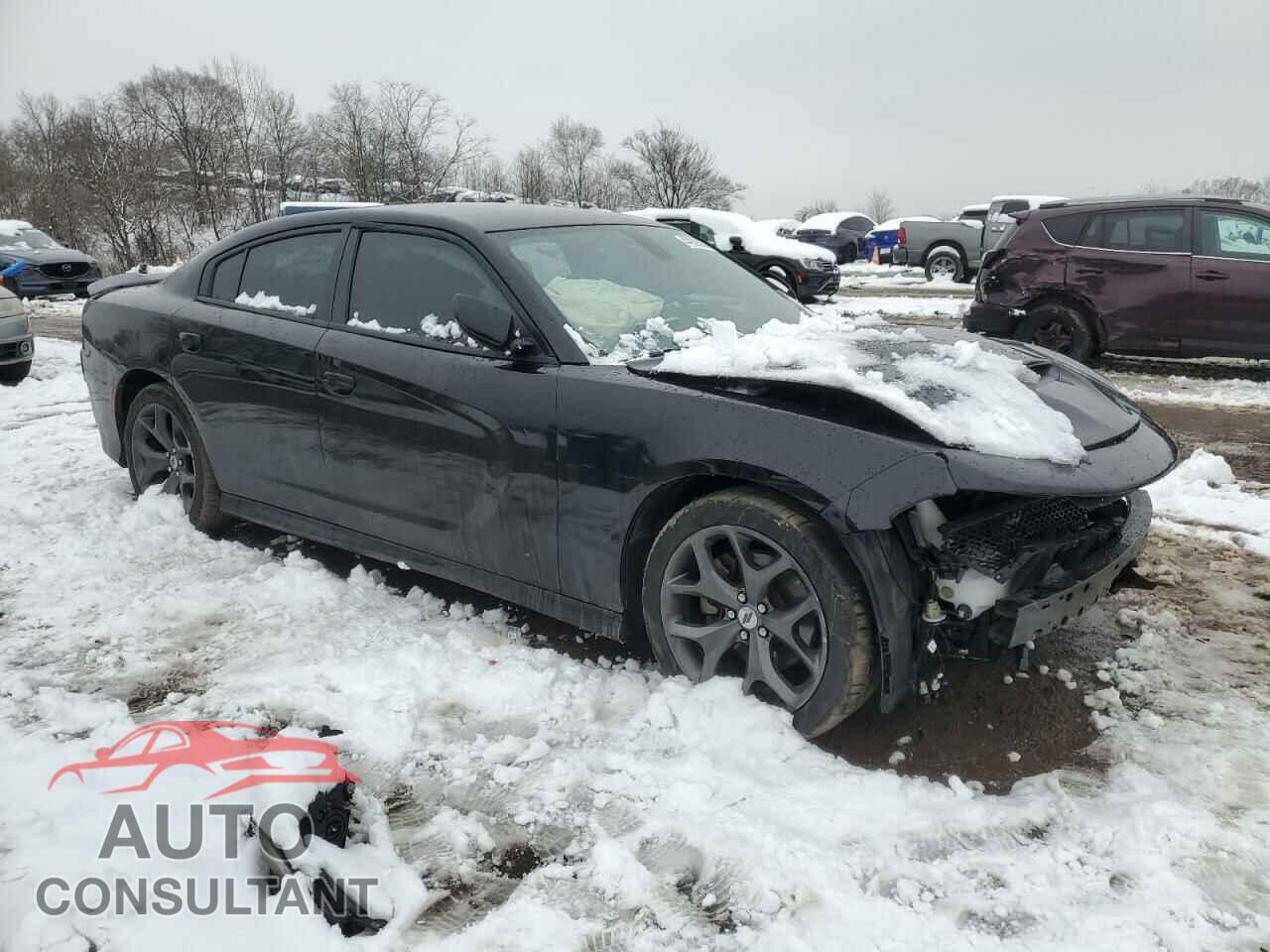 DODGE CHARGER 2019 - 2C3CDXCT6KH643181