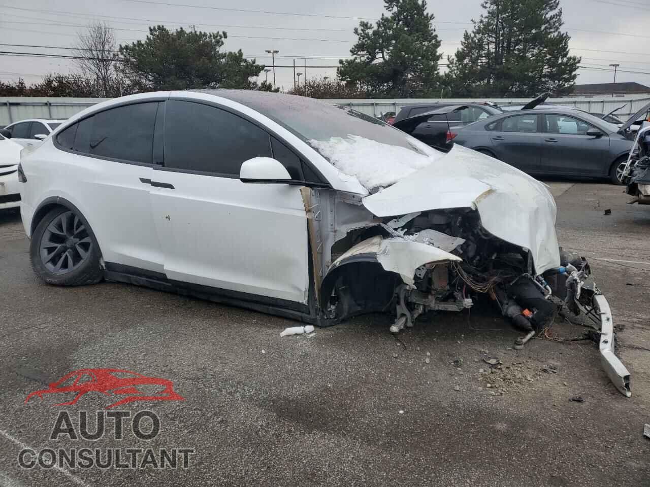 TESLA MODEL X 2023 - 7SAXCAE54PF377056