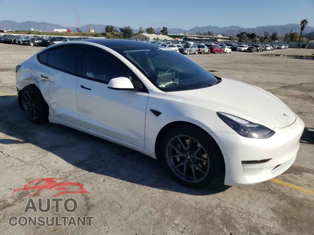 TESLA MODEL 3 2021 - 5YJ3E1EA6MF100410