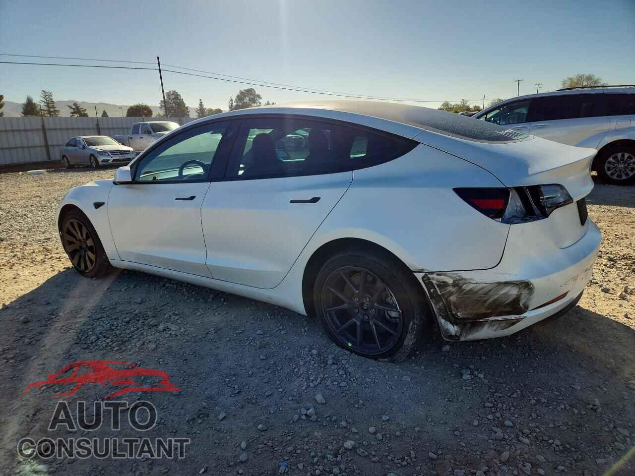 TESLA MODEL 3 2021 - 5YJ3E1EB2MF097188