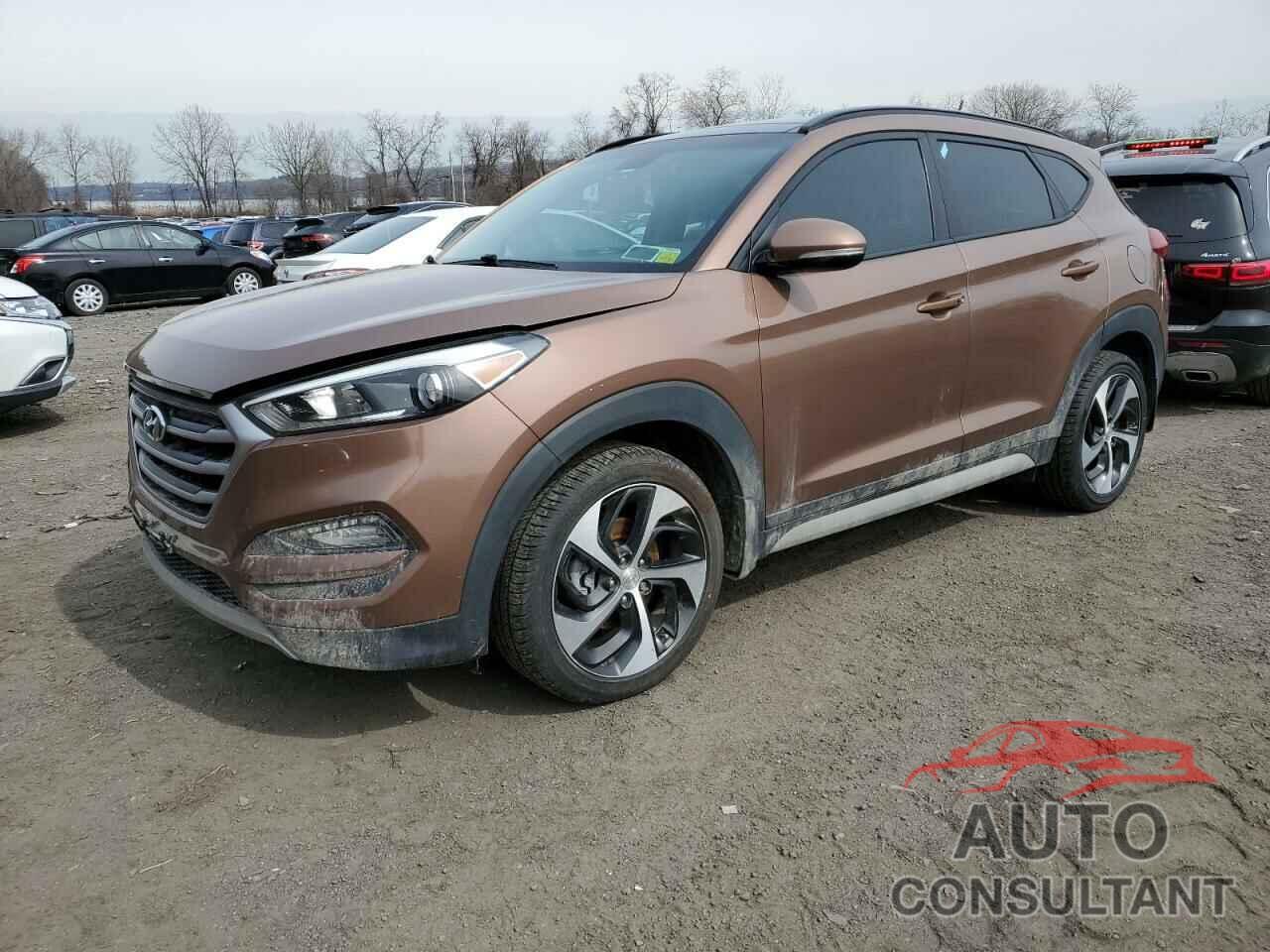 HYUNDAI TUCSON 2017 - KM8J33A29HU553193