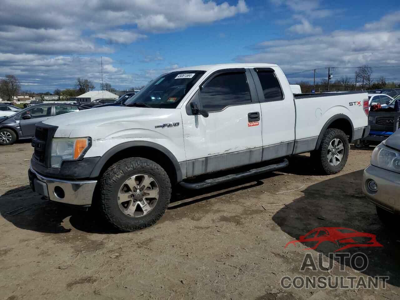 FORD F-150 2010 - 1FTEX1EW6AFB30979