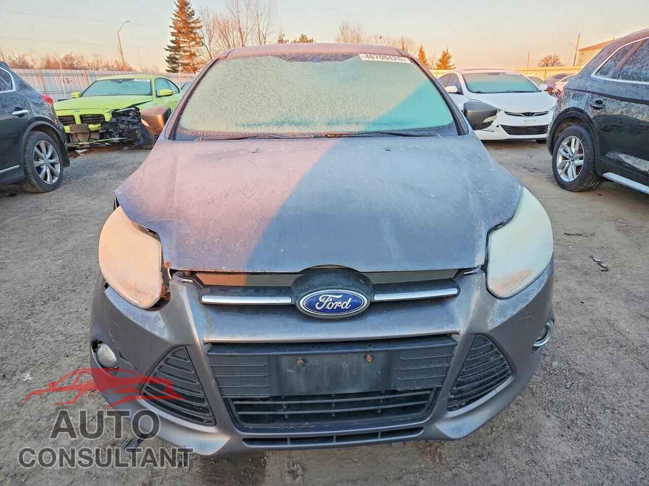 FORD FOCUS 2013 - 1FADP3F2XDL303904