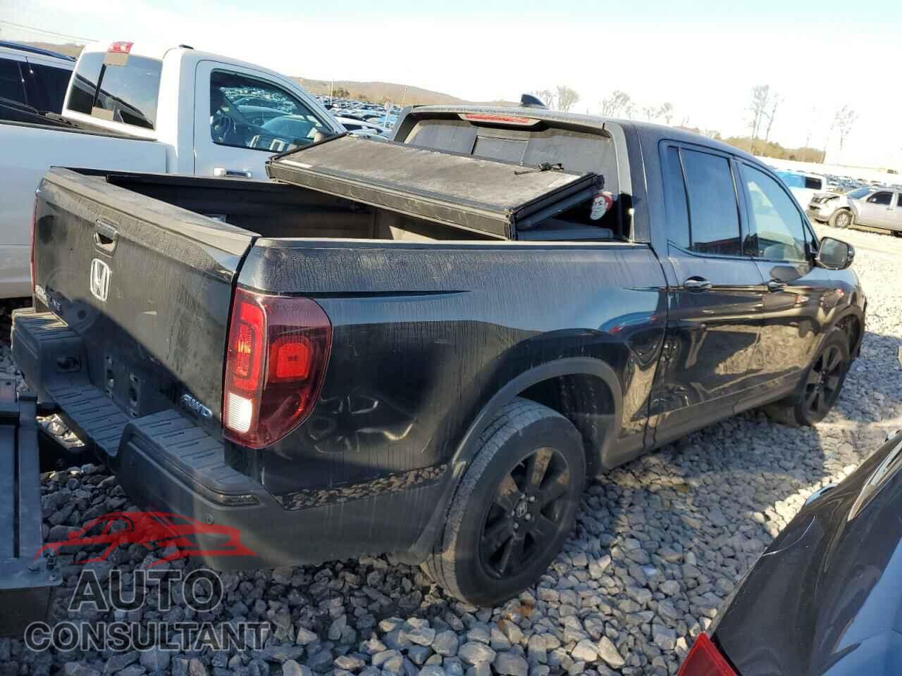 HONDA RIDGELINE 2019 - 5FPYK3F82KB020841