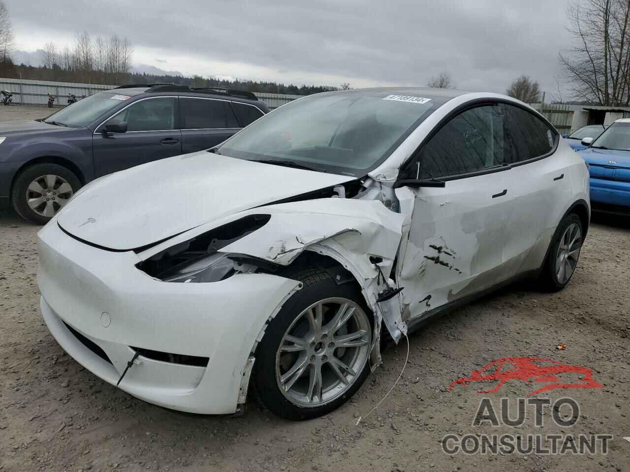 TESLA MODEL Y 2023 - 7SAYGAEE9PF624984