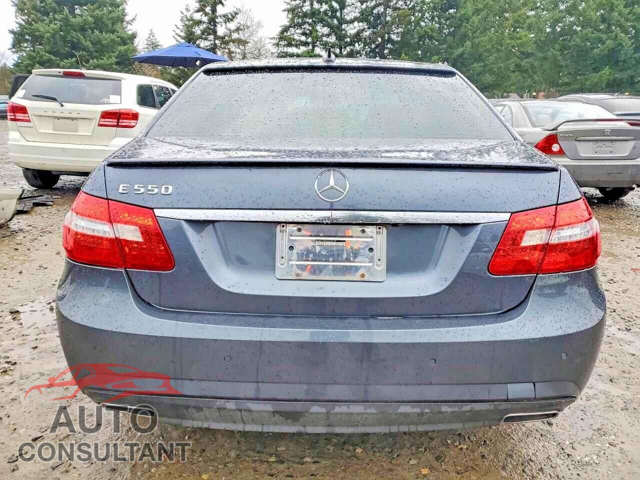 MERCEDES-BENZ E-CLASS 2010 - WDDHF7CB9AA018165