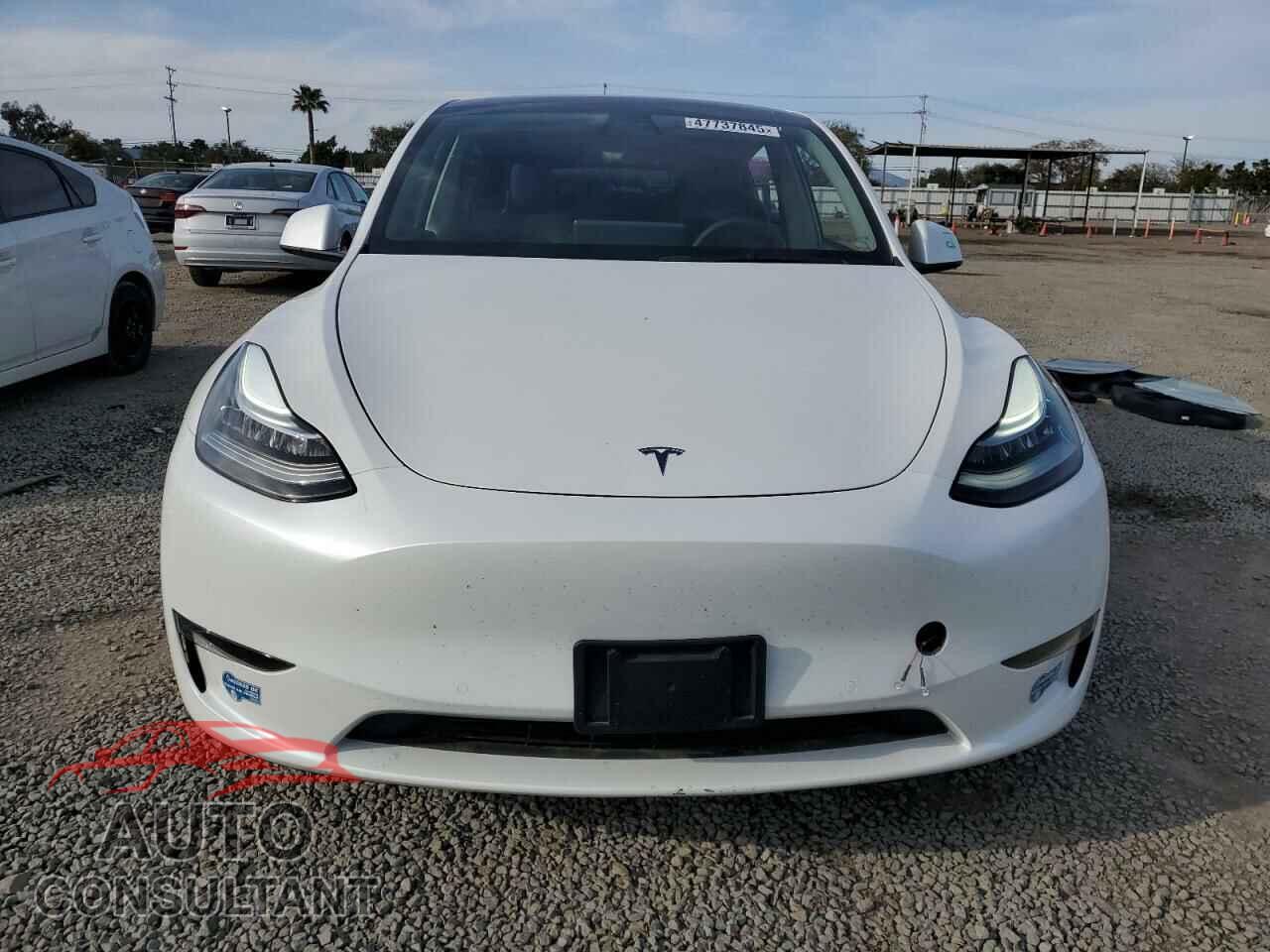 TESLA MODEL Y 2021 - 5YJYGDEEXMF244899