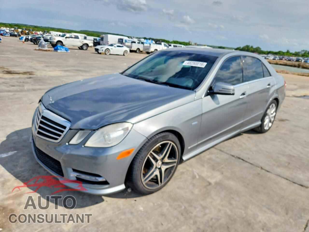 MERCEDES-BENZ E-CLASS 2012 - WDDHF8JB3CA629286