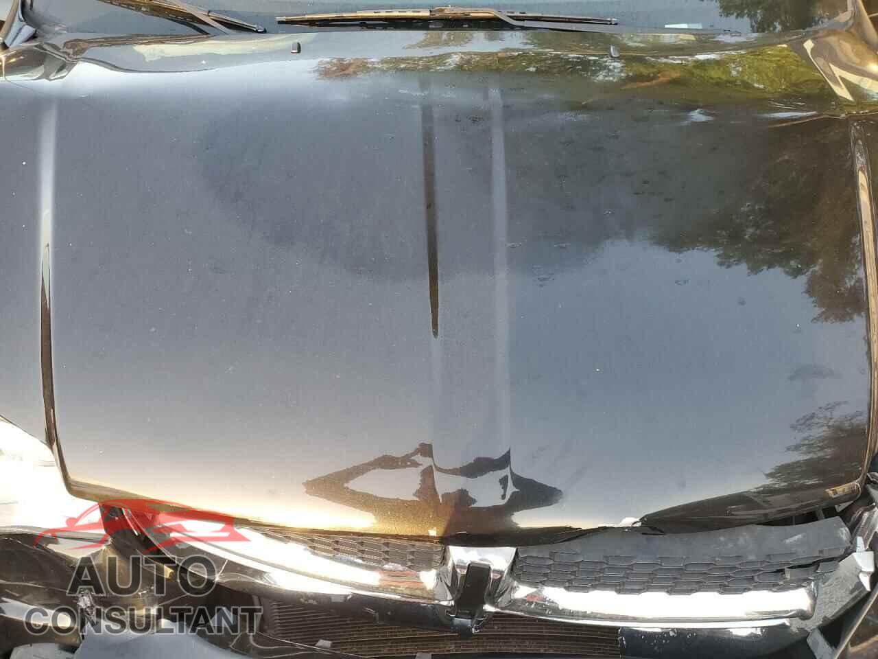 DODGE CARAVAN 2019 - 2C4RDGCG8KR773076