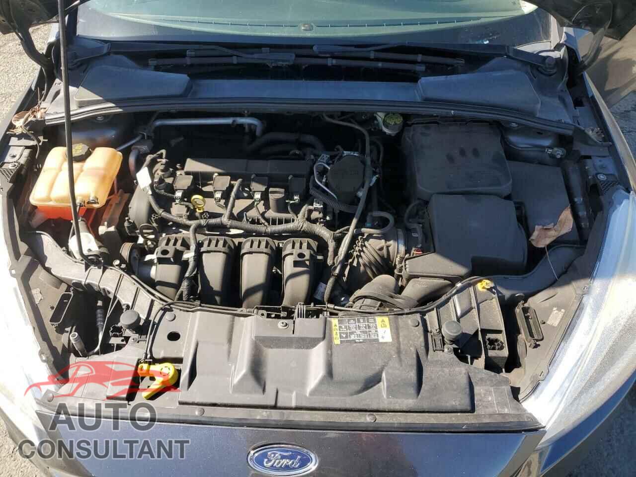 FORD FOCUS 2016 - 1FADP3E23GL209109