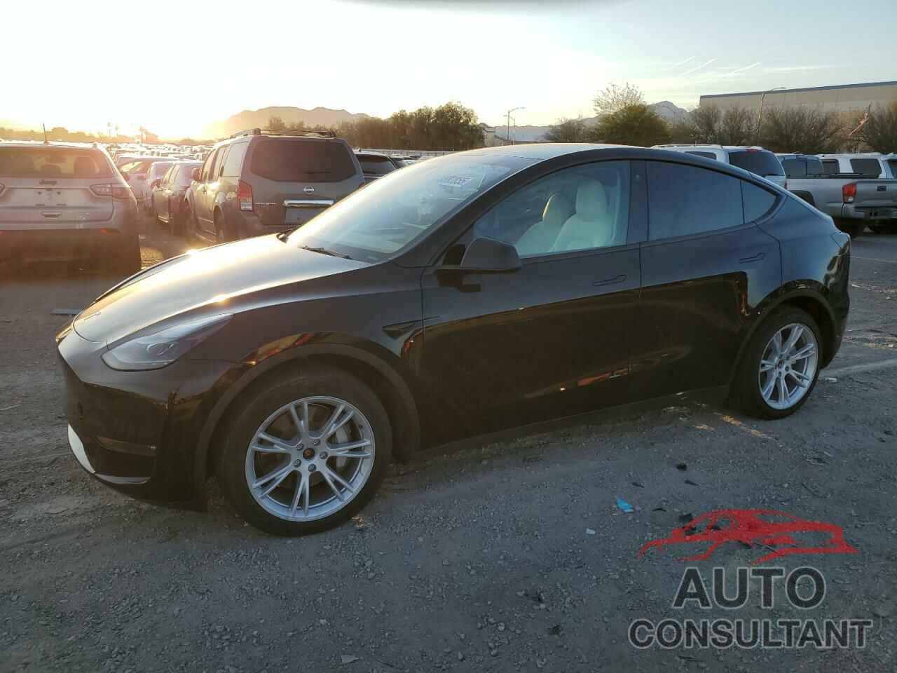 TESLA MODEL Y 2022 - 7SAYGAEE3NF542388