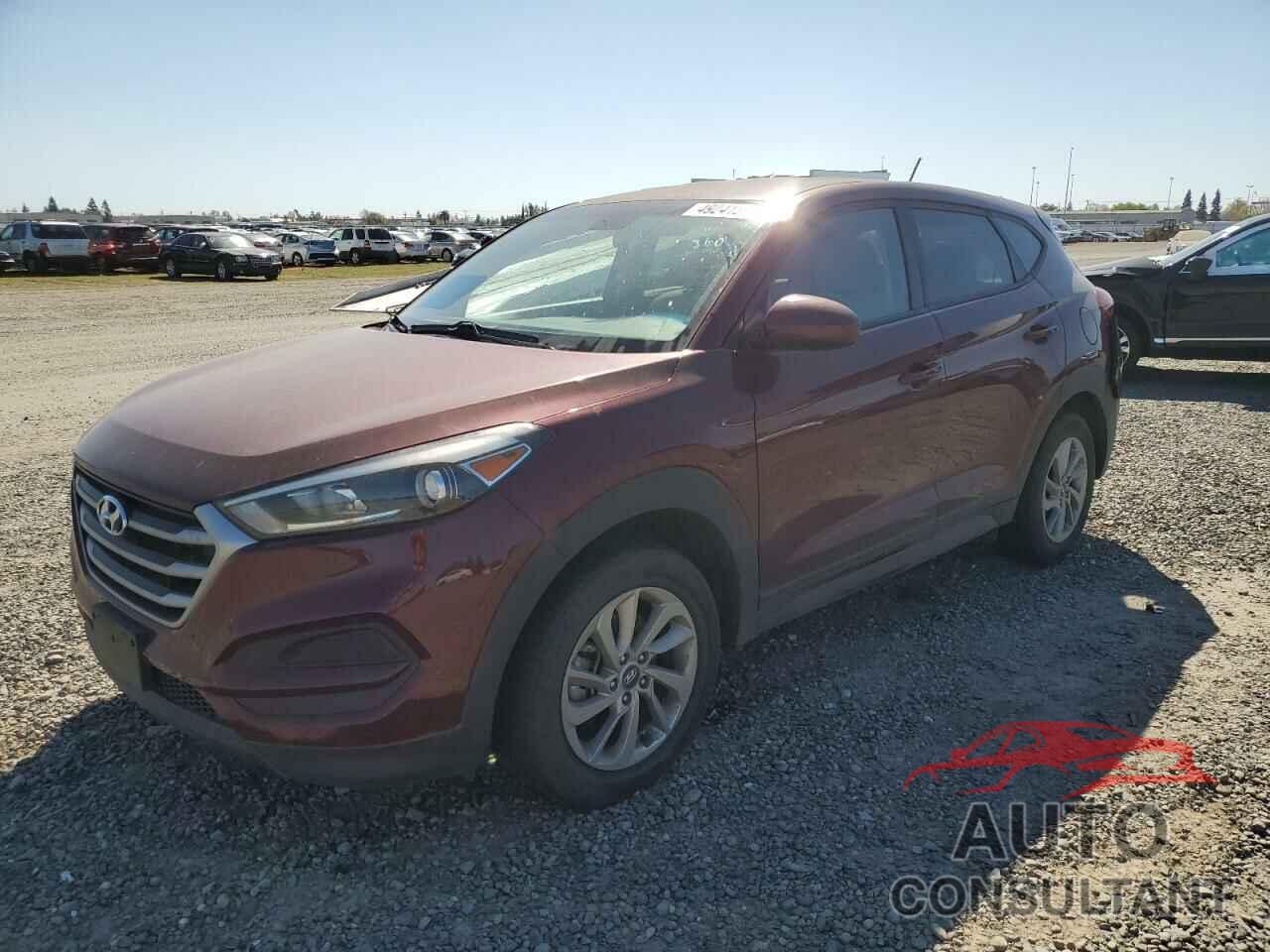 HYUNDAI TUCSON 2017 - KM8J23A43HU376192