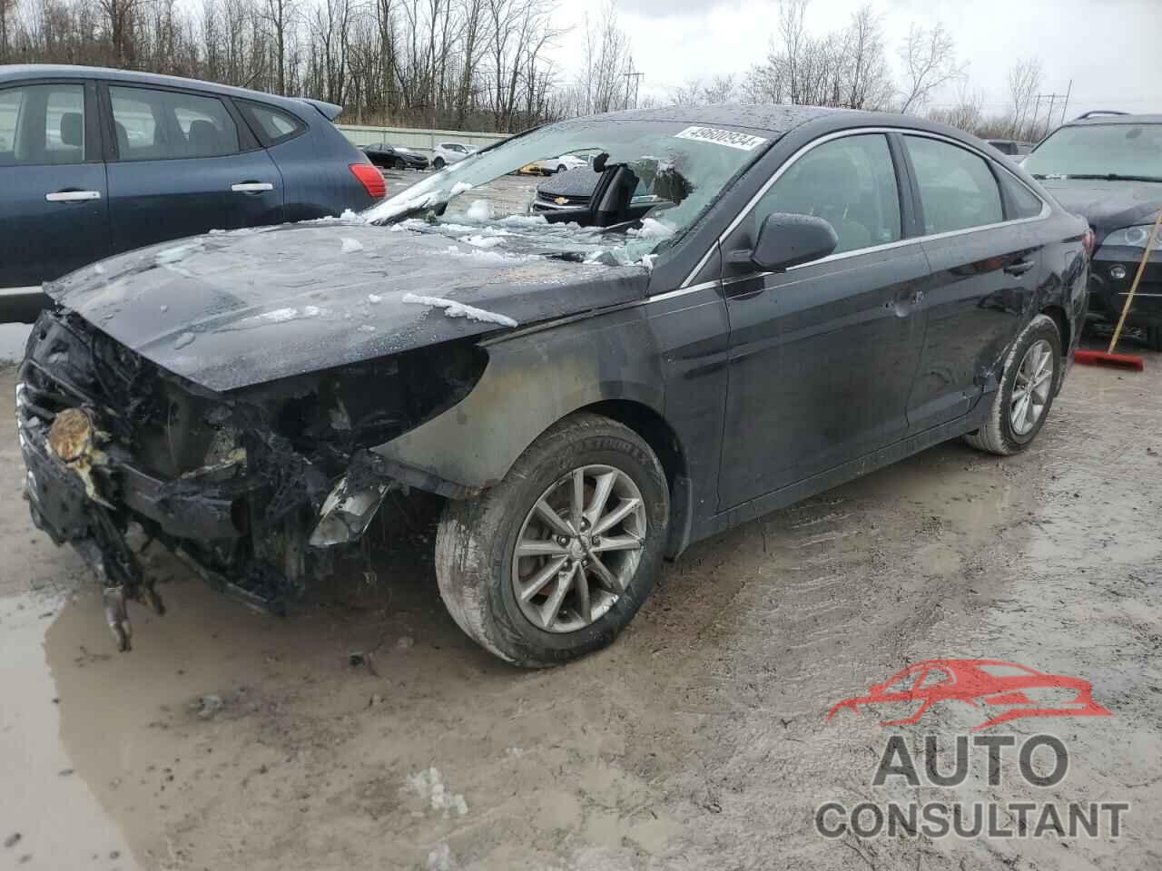 HYUNDAI SONATA 2018 - 5NPE24AF4JH695100
