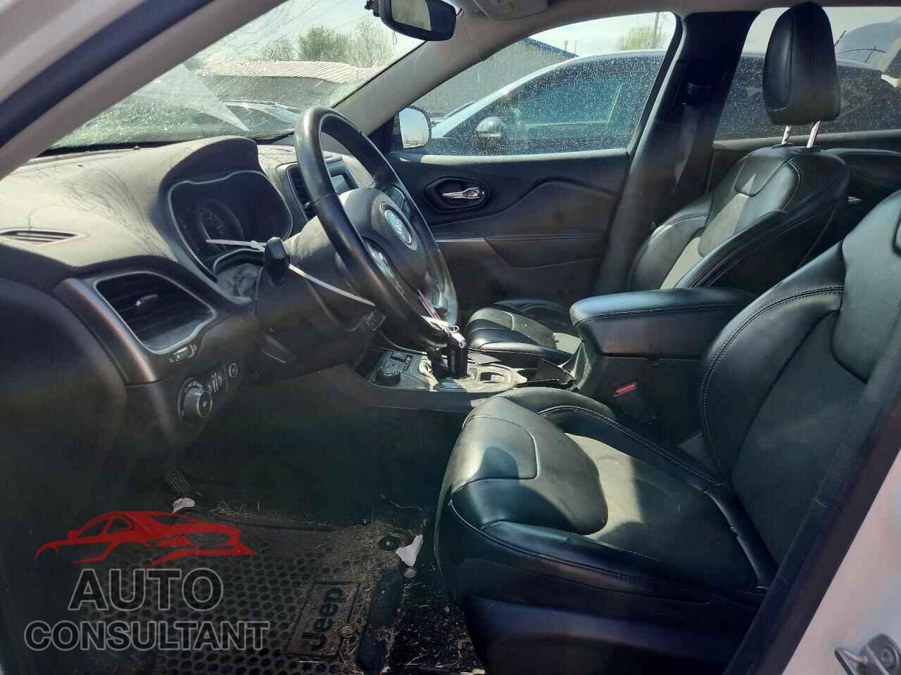 JEEP CHEROKEE 2019 - 1C4PJMLBXKD239714