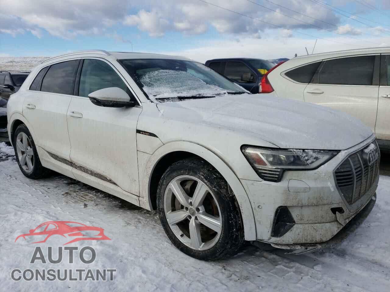 AUDI E-TRON 2019 - WA1LAAGE5KB008730