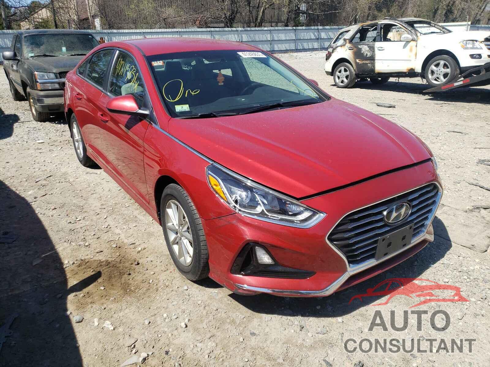 HYUNDAI SONATA 2019 - 5NPE24AFXKH745208