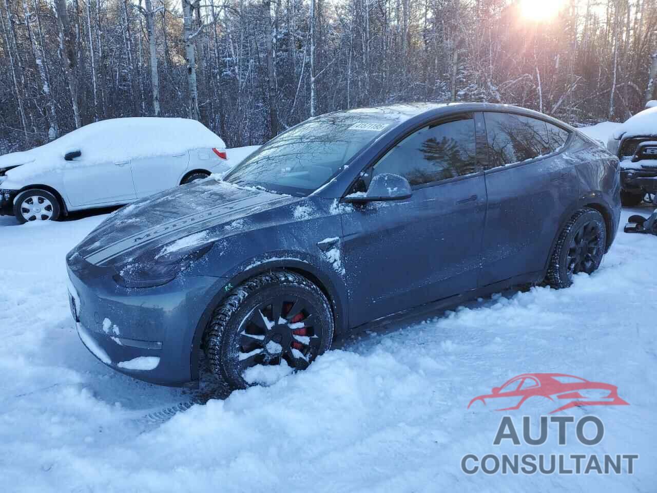 TESLA MODEL Y 2023 - 7SAYGDEE7PF582915