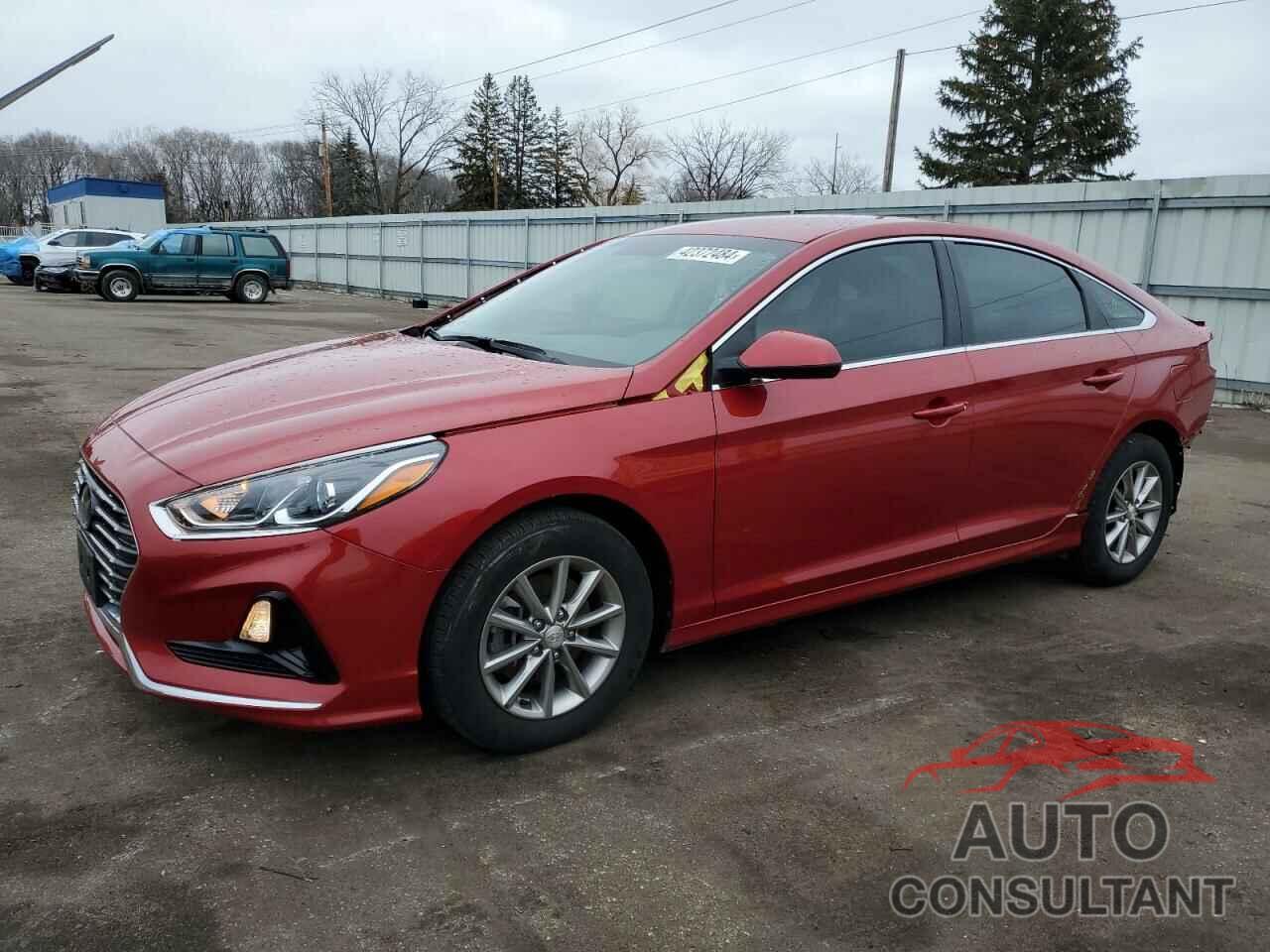 HYUNDAI SONATA 2019 - 5NPE24AFXKH769802