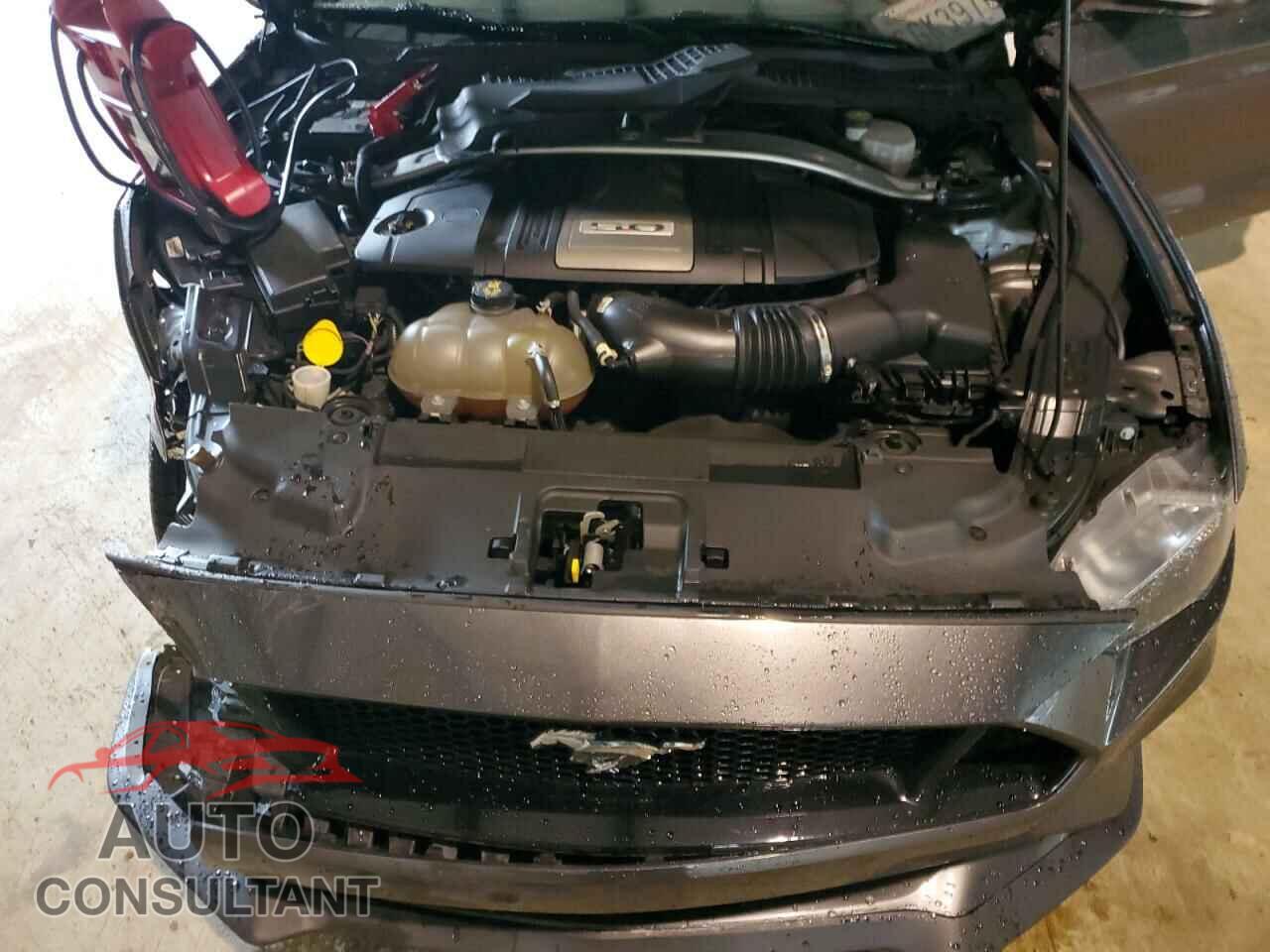 FORD MUSTANG 2019 - 1FA6P8CF3K5193390