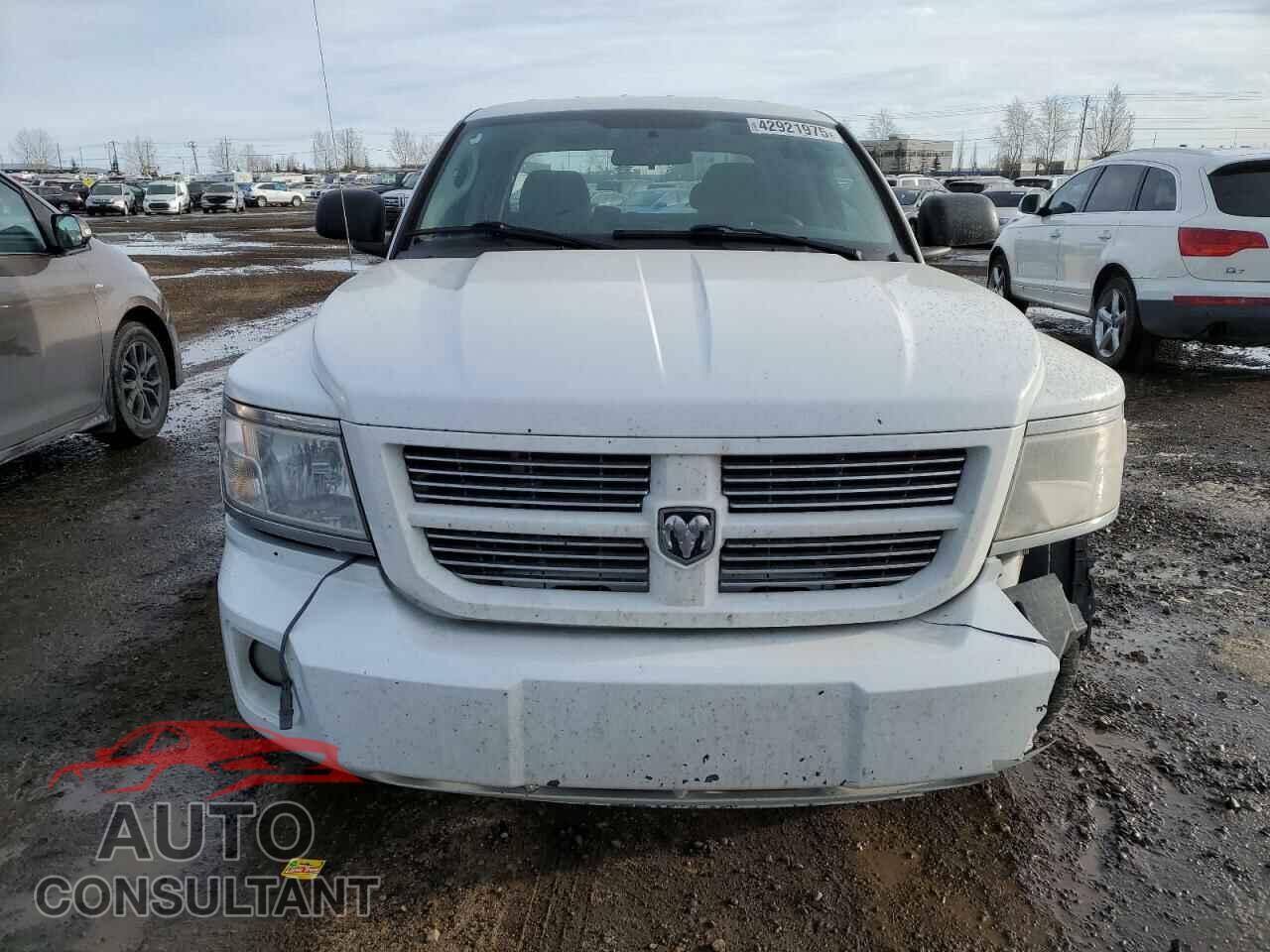 DODGE DAKOTA 2011 - 1D7RW3GK9BS676443