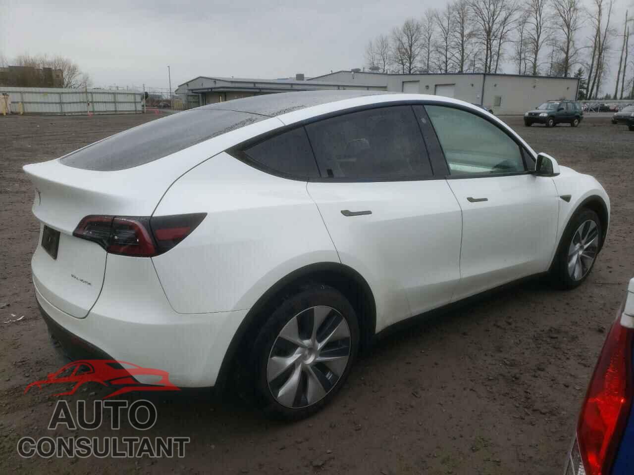 TESLA MODEL Y 2023 - 7SAYGDEEXPF604602