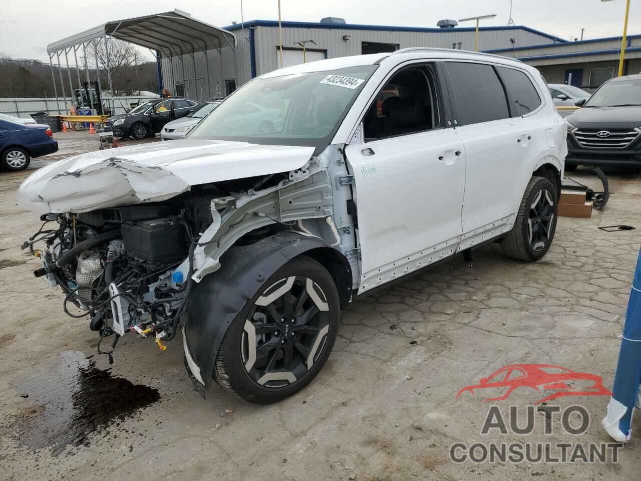 KIA TELLURIDE 2024 - 5XYP6DGC4RG421828