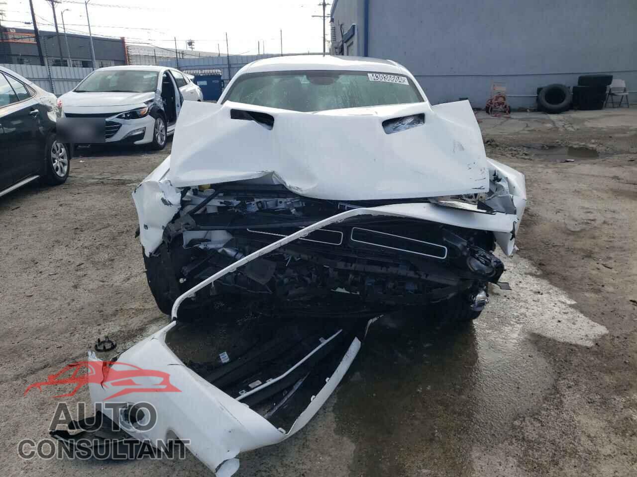 DODGE CHALLENGER 2022 - 2C3CDZAG8NH211312