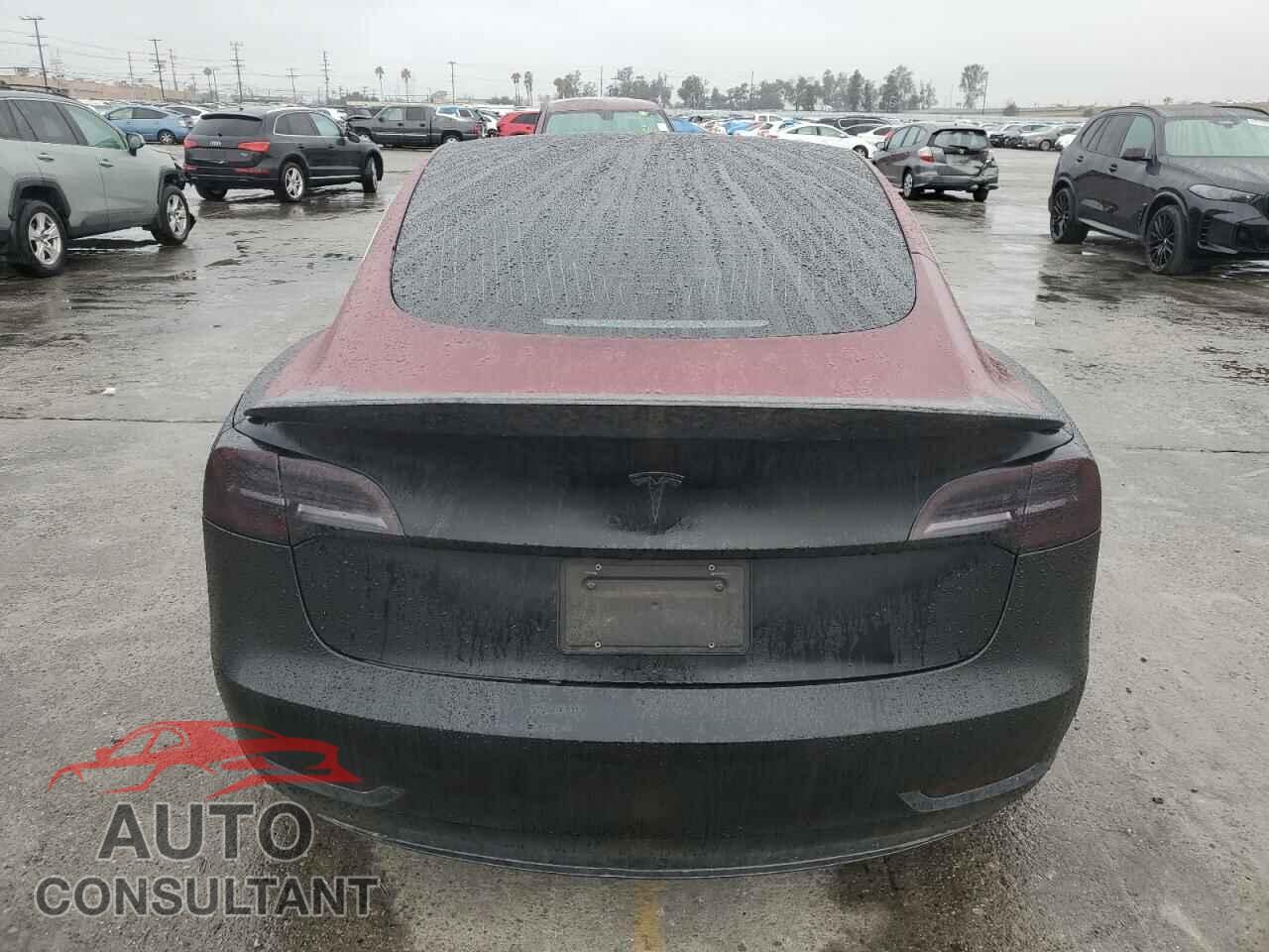 TESLA MODEL 3 2019 - 5YJ3E1EB8KF477603
