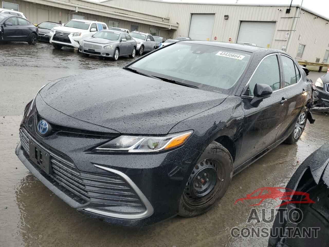 TOYOTA CAMRY 2021 - 4T1C31AK9MU570003