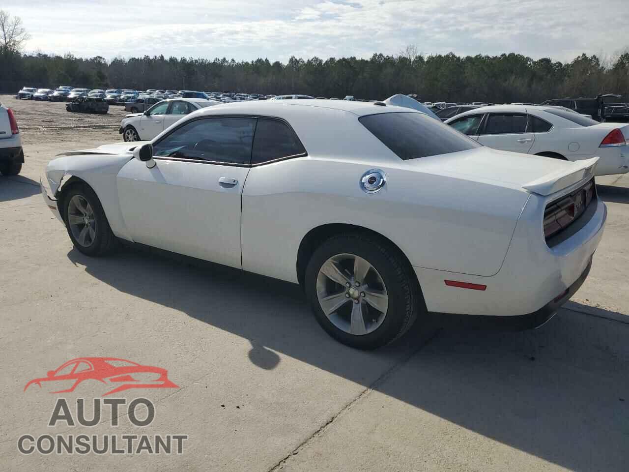 DODGE CHALLENGER 2019 - 2C3CDZAG5KH724089