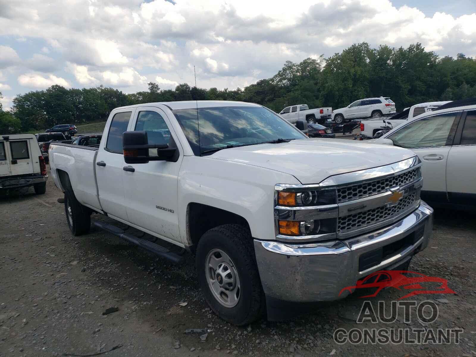 CHEVROLET SILVERADO 2019 - 2GC2KREG4K1133087