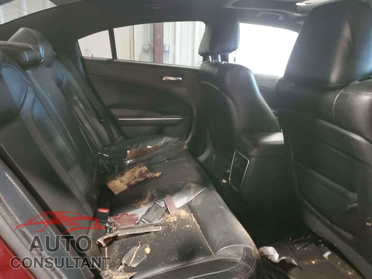 DODGE CHARGER 2023 - 2C3CDXBG7PH516483