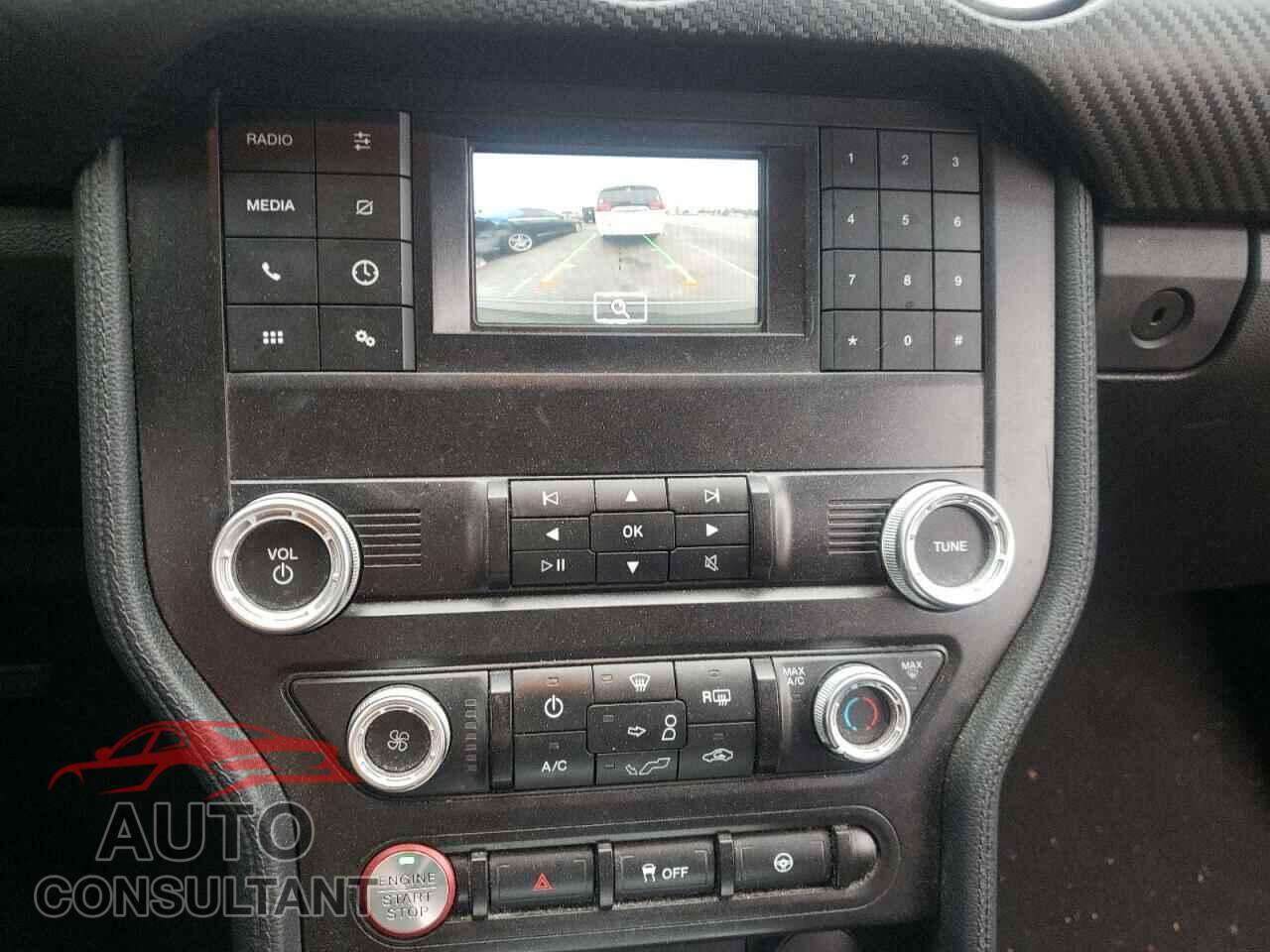 FORD MUSTANG 2019 - 1FA6P8TH9K5143675