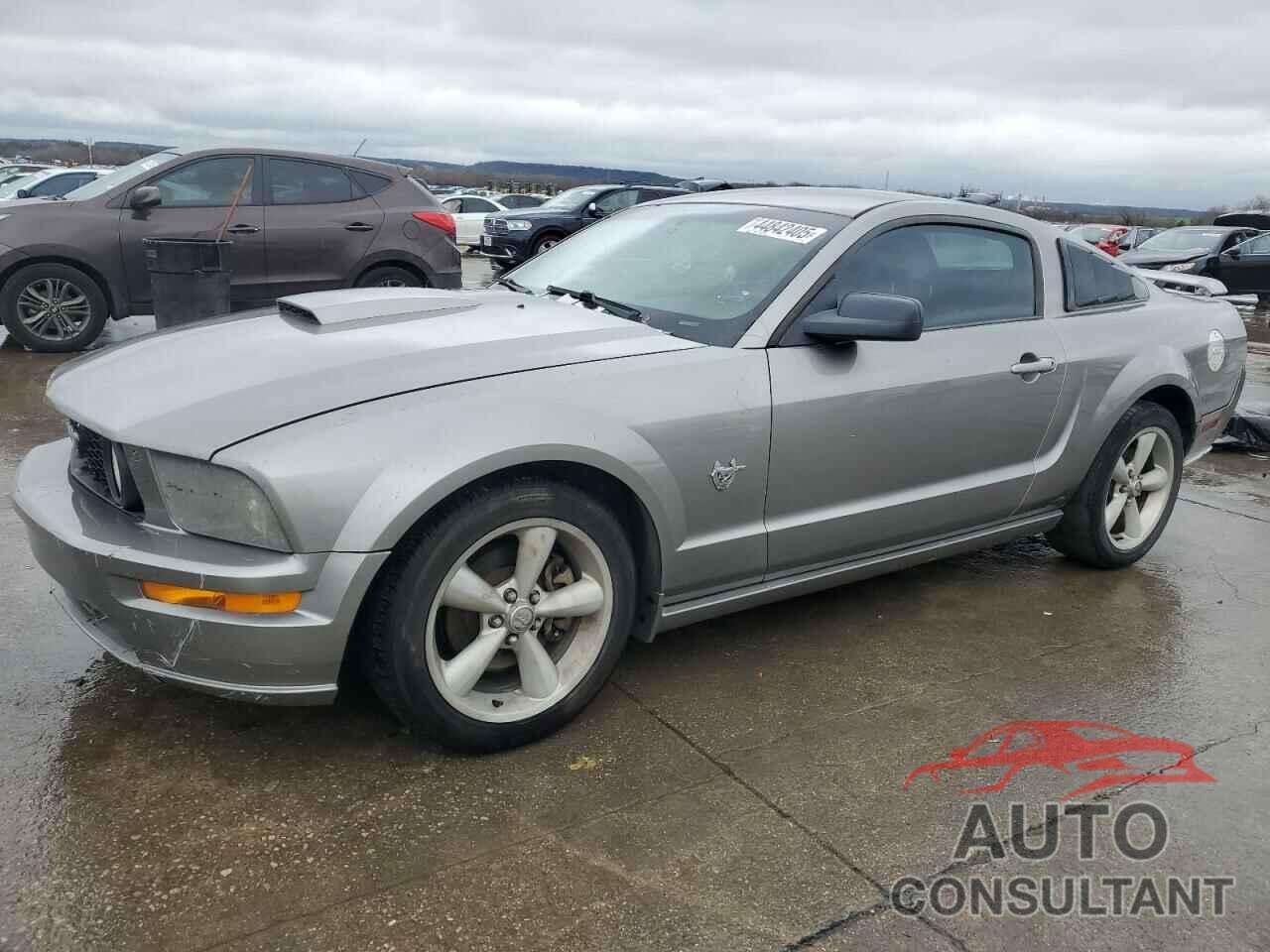 FORD MUSTANG 2009 - 1ZVHT82H395130847
