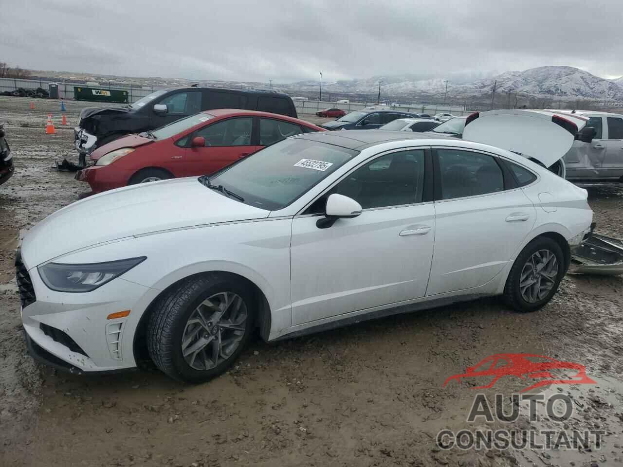 HYUNDAI SONATA 2020 - 5NPEF4JA7LH000491