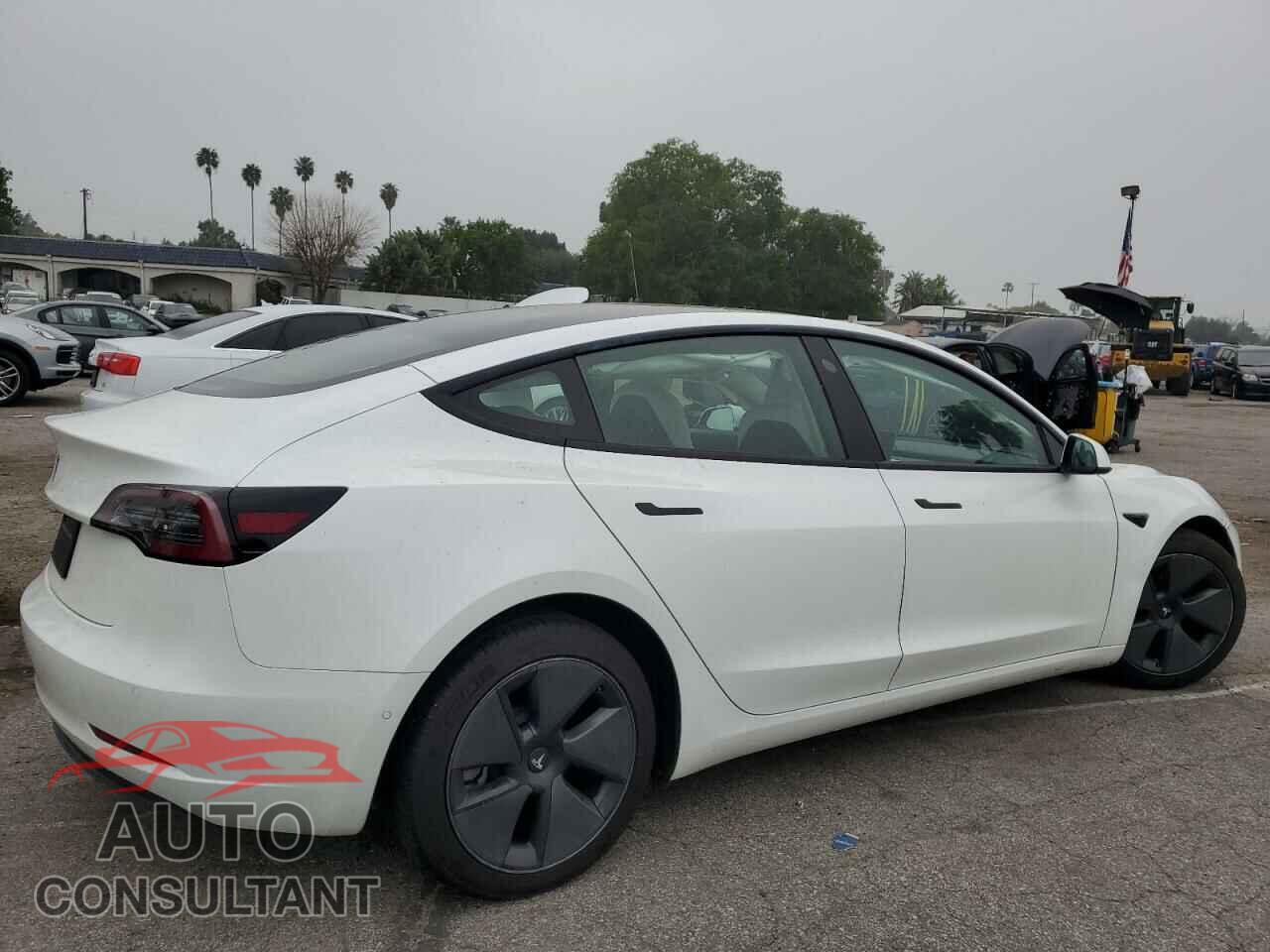 TESLA MODEL 3 2021 - 5YJ3E1EA1MF942989