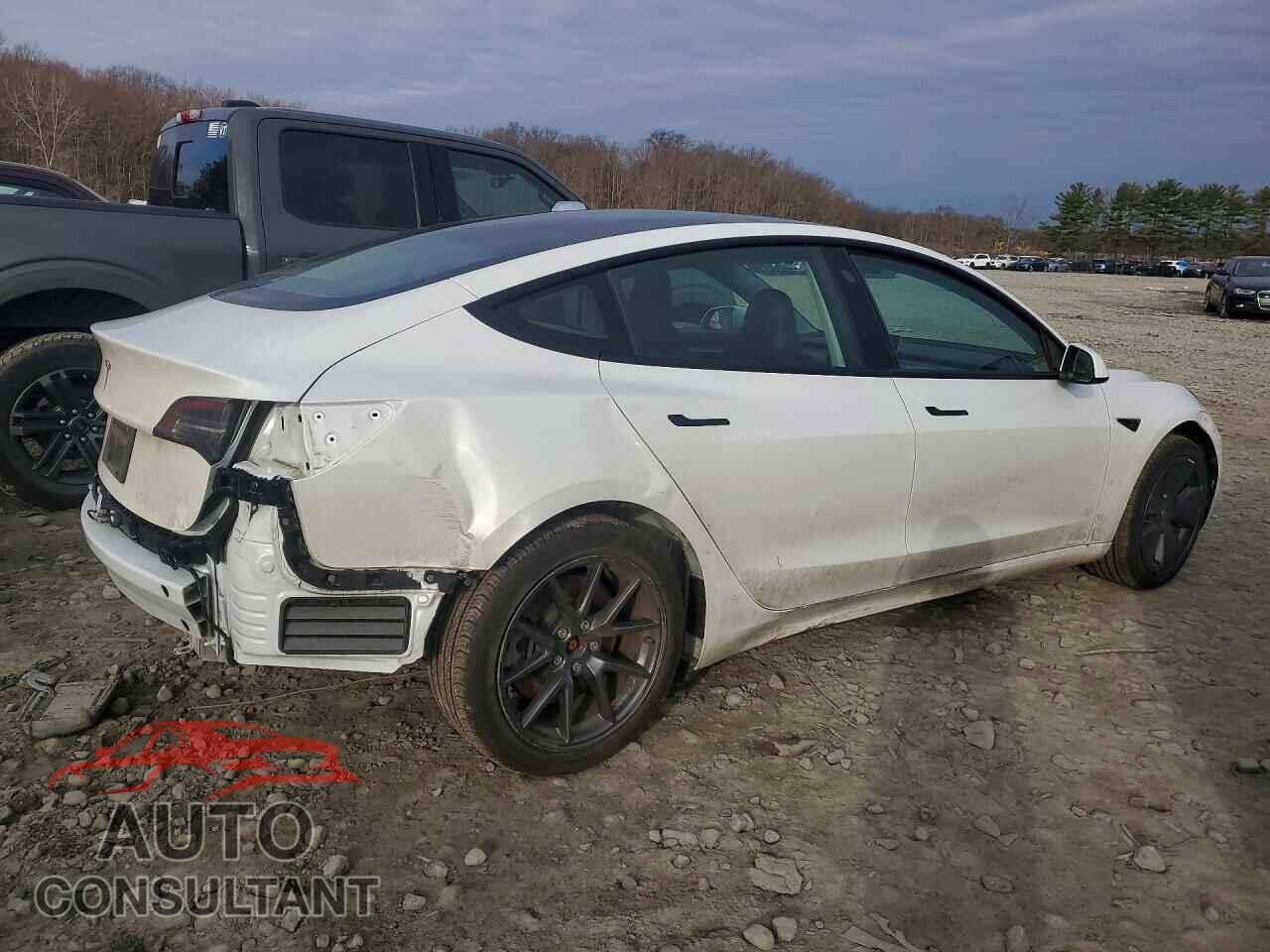 TESLA MODEL 3 2023 - 5YJ3E1EA1PF555184