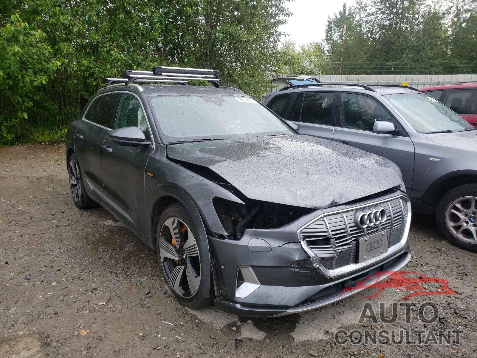 AUDI E-TRON 2019 - WA1VAAGE8KB006768