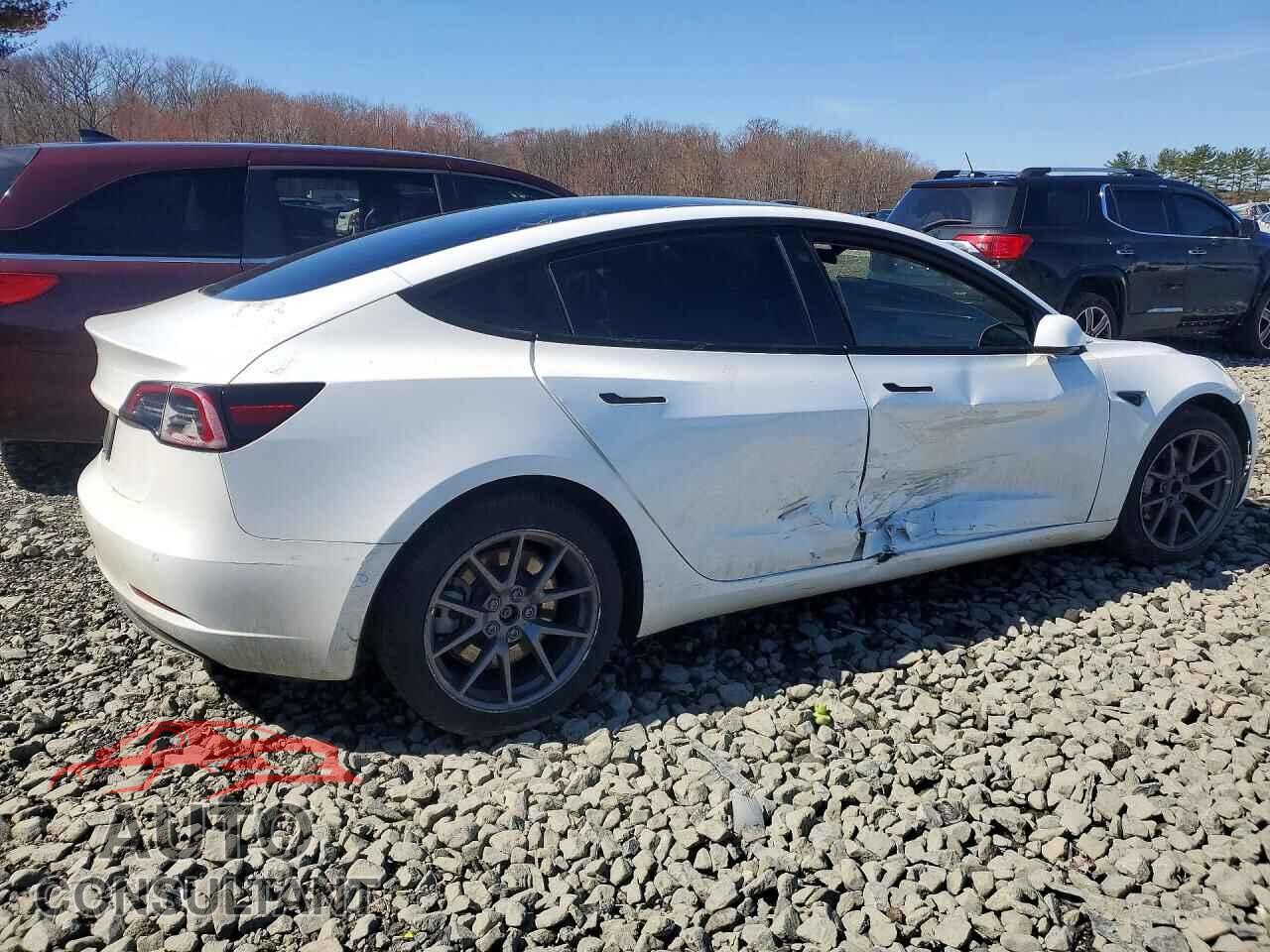 TESLA MODEL 3 2022 - 5YJ3E1EA7NF319328