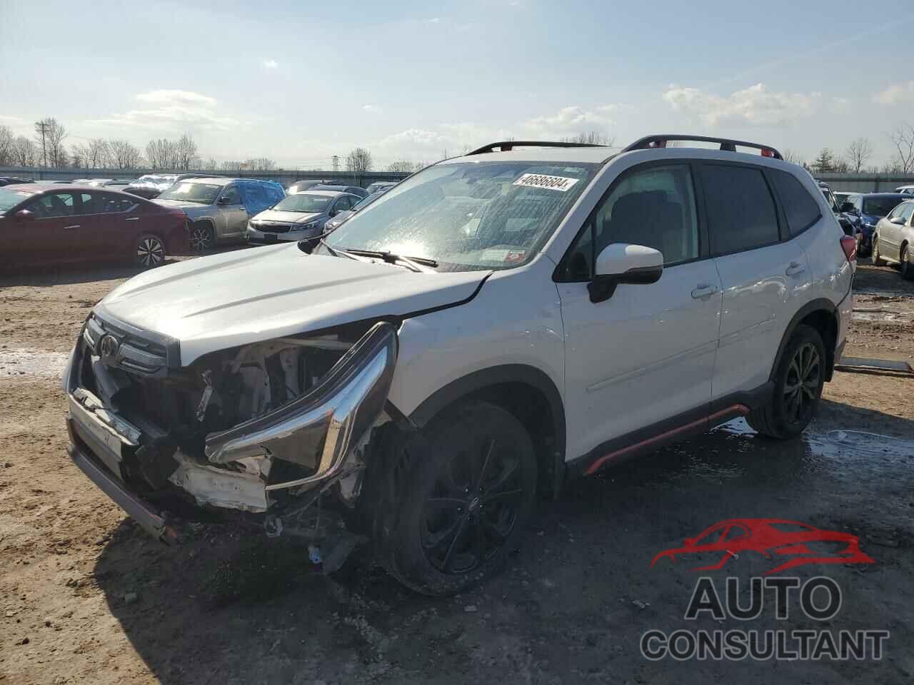 SUBARU FORESTER 2022 - JF2SKAJCXNH415208