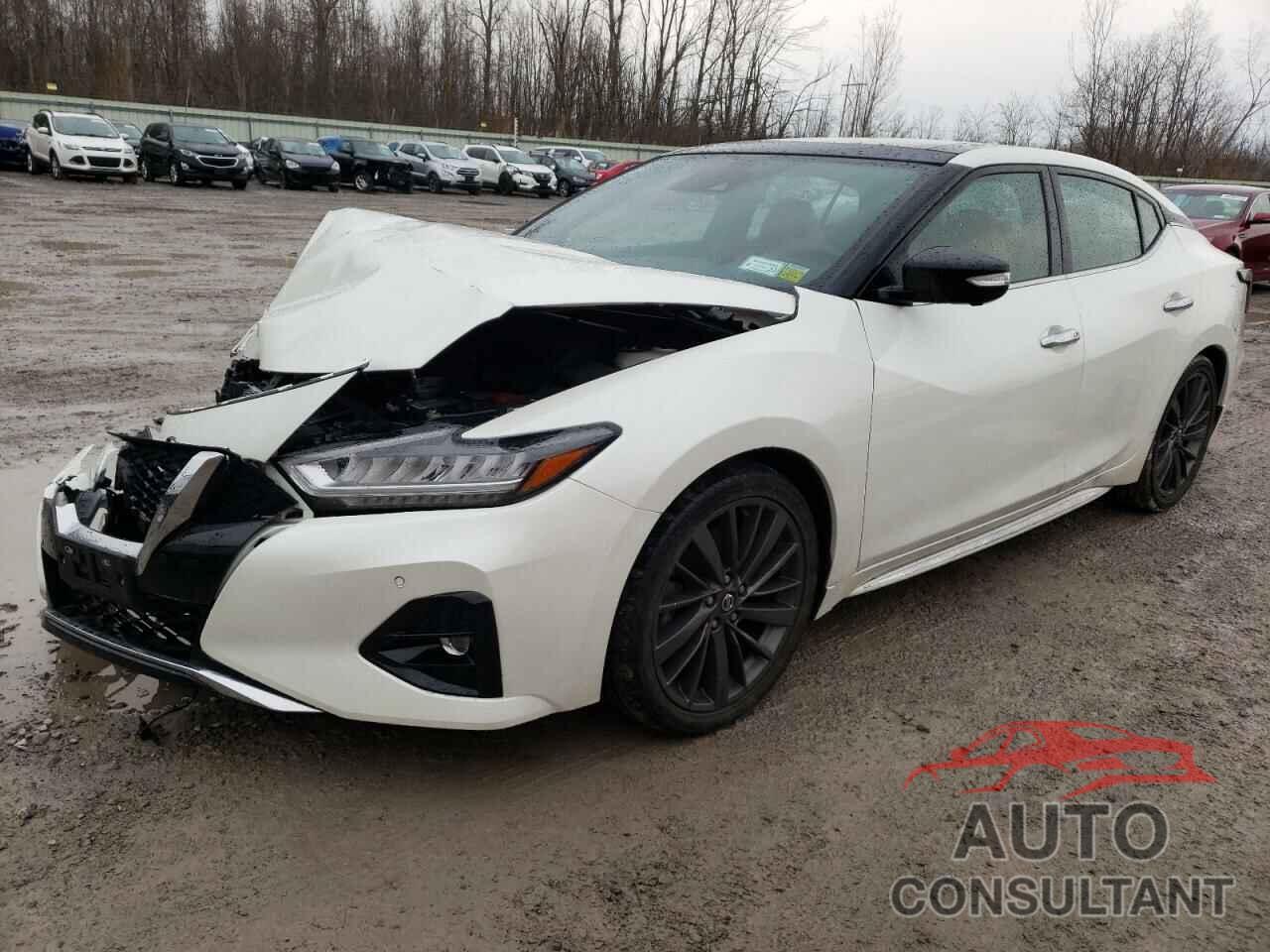 NISSAN MAXIMA 2019 - 1N4AA6AV8KC375219