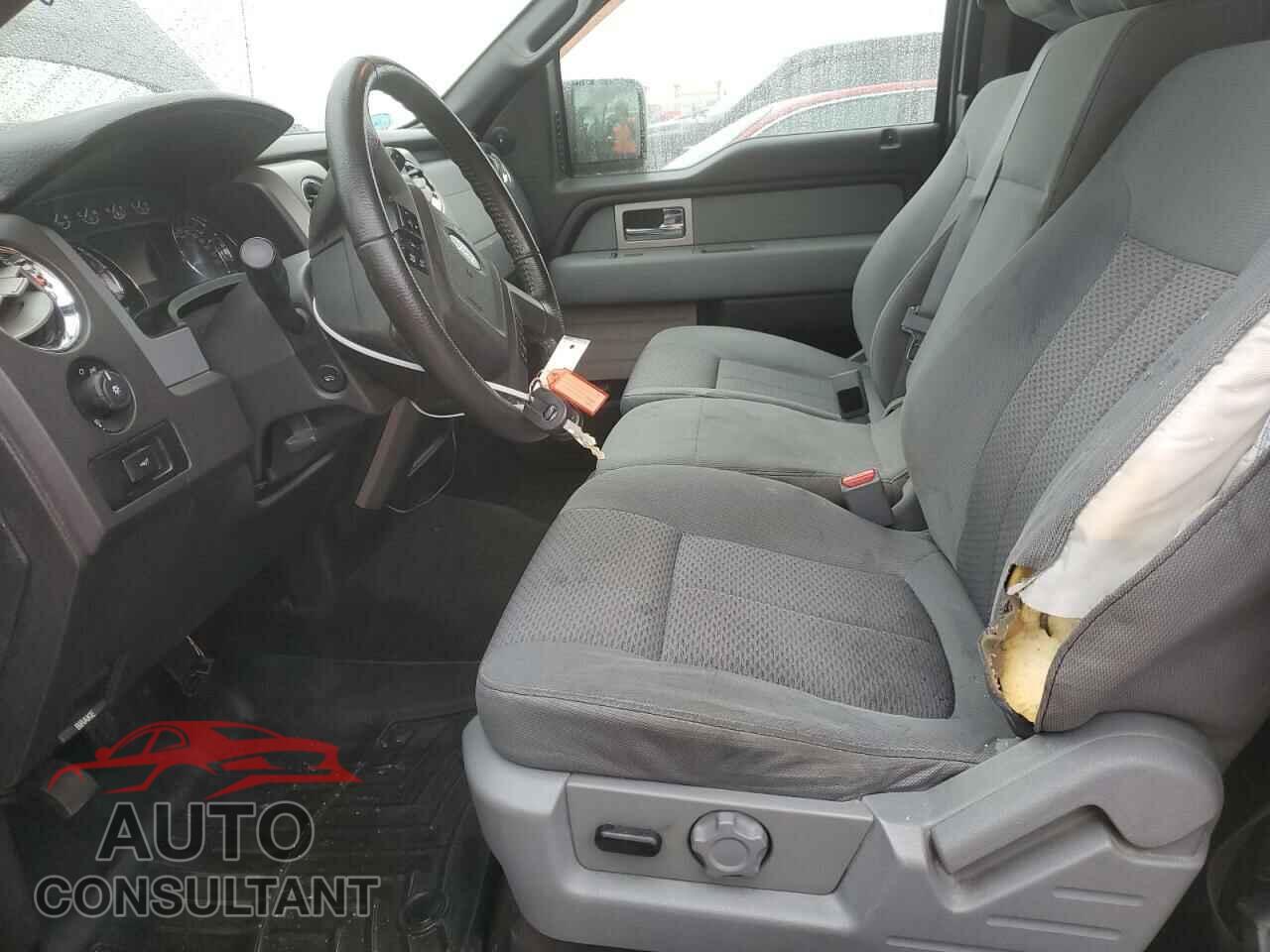 FORD F-150 2011 - 1FTFX1CF0BFC13185