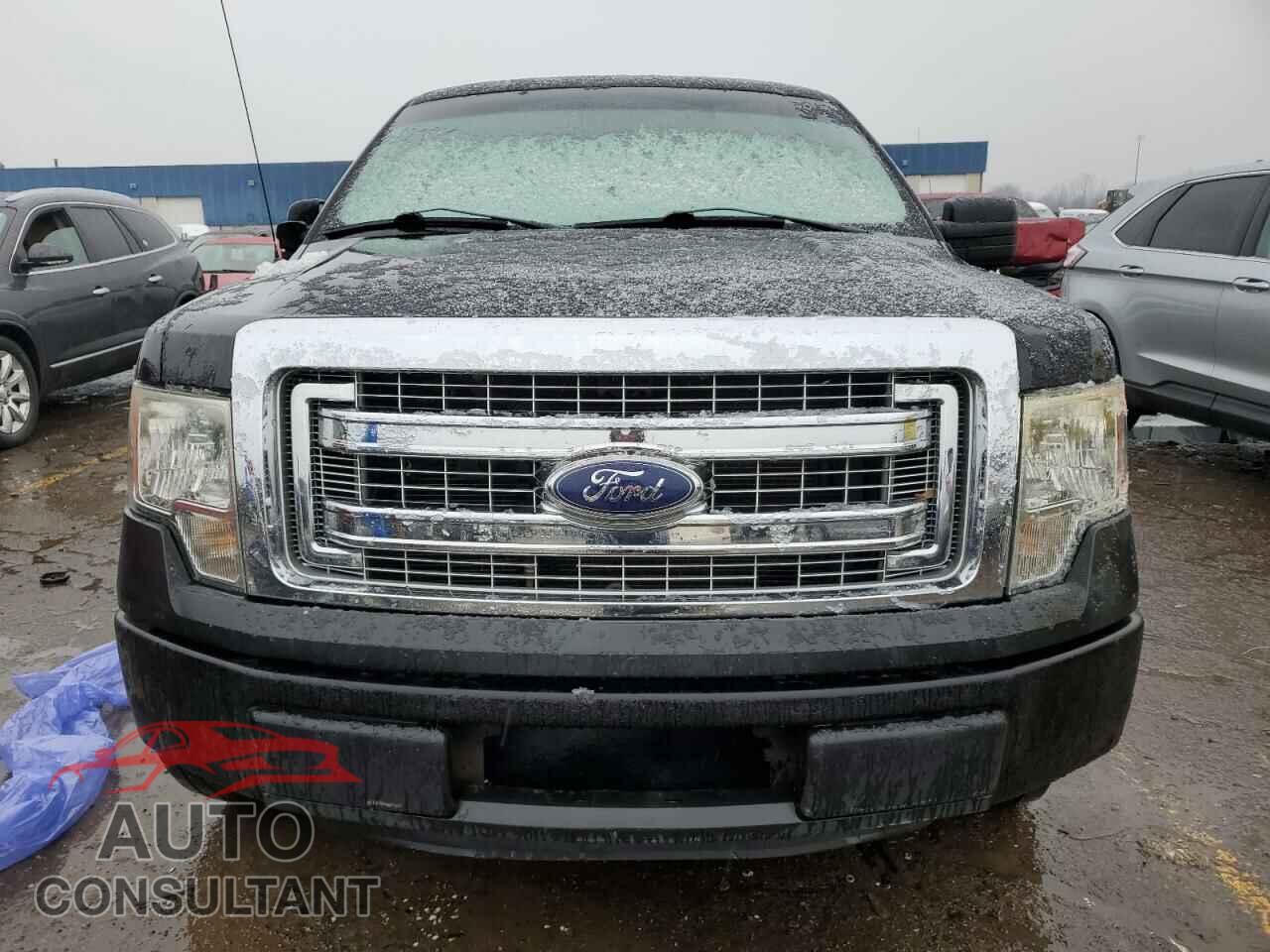 FORD F-150 2013 - 1FTFX1CF1DFA62425