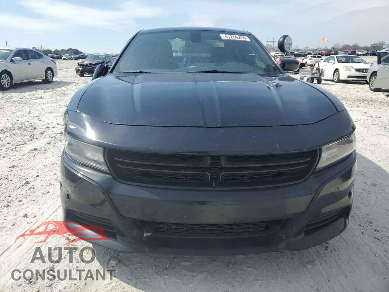DODGE CHARGER 2019 - 2C3CDXKT7KH633969
